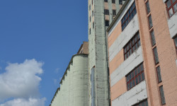 DSC 0123