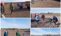 photo 2026 04 08 16 10 34